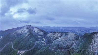 lpb0123004_003_02_b